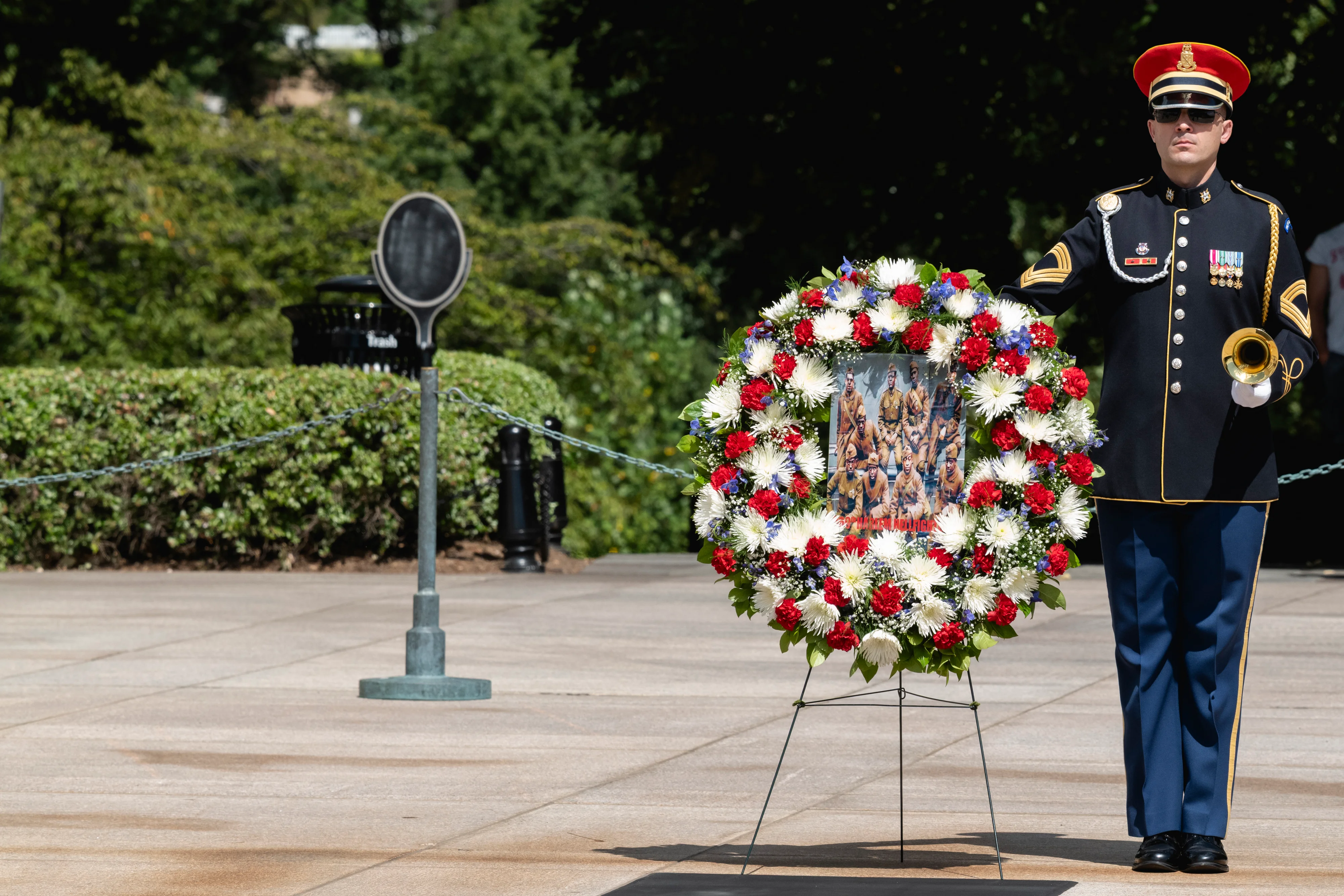 sentinel led lighting